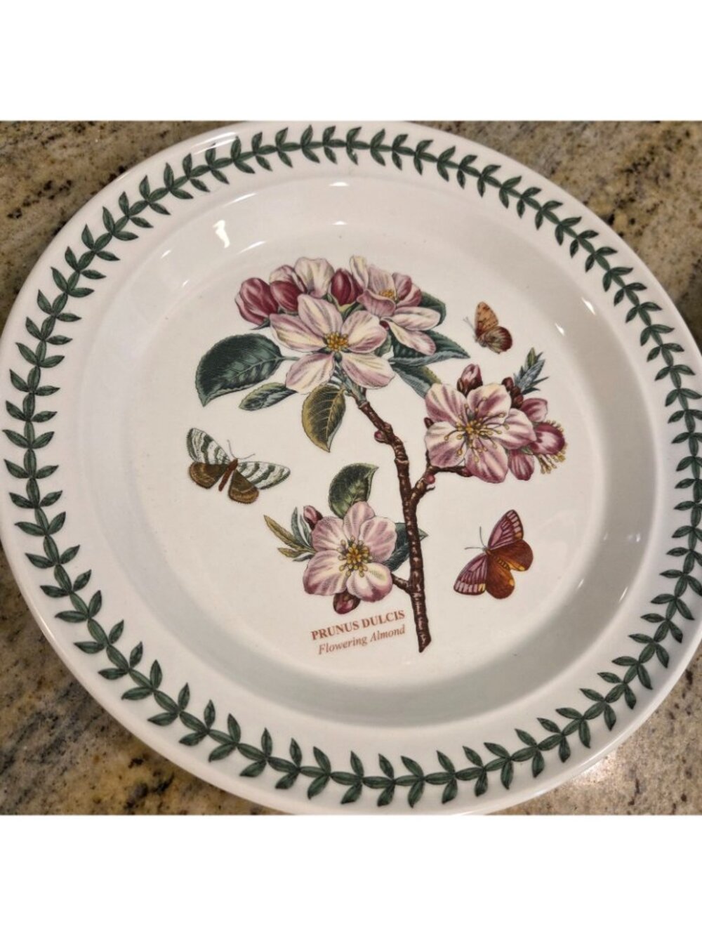 Portmeirion Dinner Plates Set 2 Rhododendrum Liliflorum & Prunus Dulcis - Picture 2 of 10